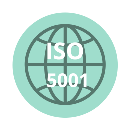 ISO 5001.png